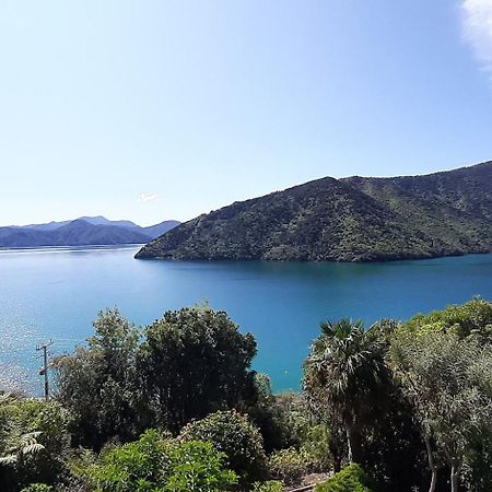 A Sea View B&B Picton Bagian luar foto