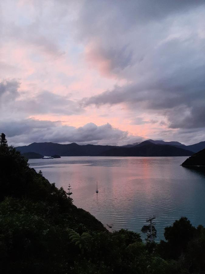 A Sea View B&B Picton Bagian luar foto