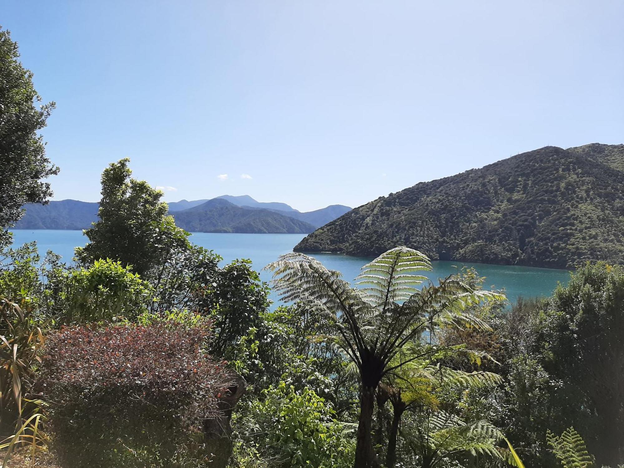 A Sea View B&B Picton Bagian luar foto