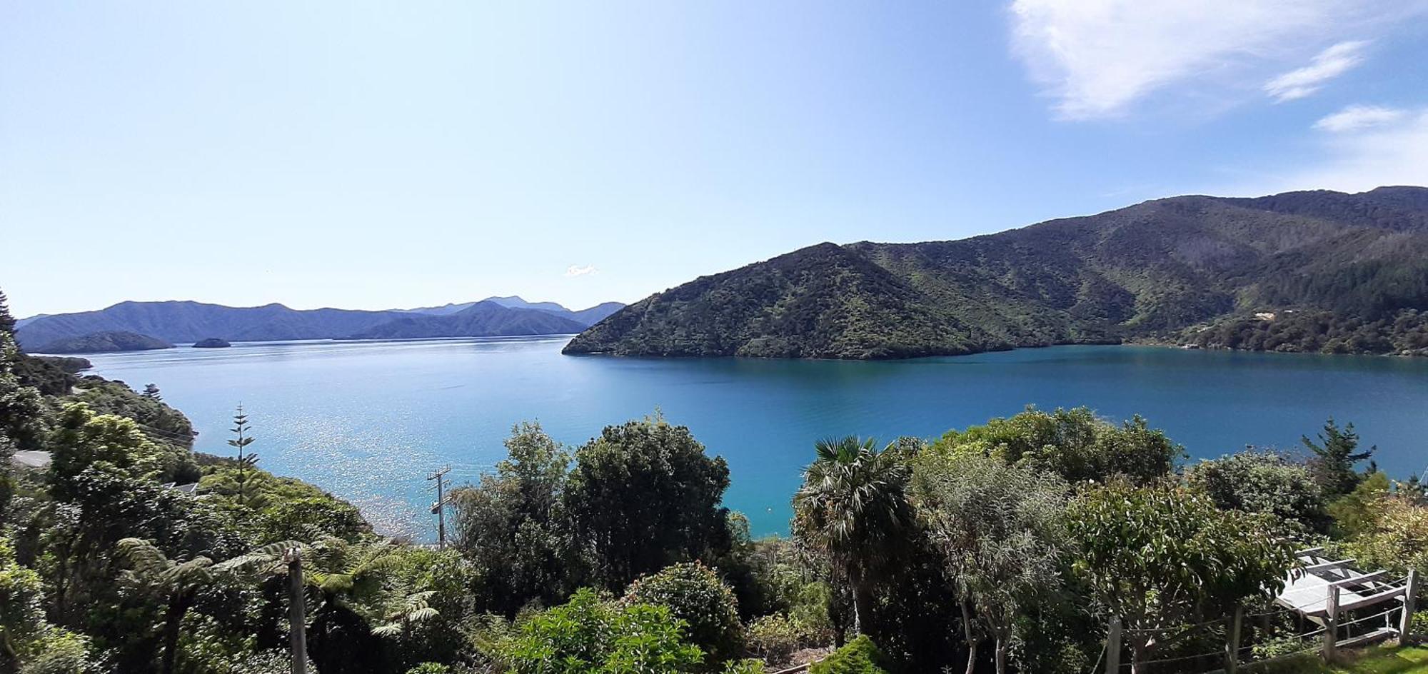 A Sea View B&B Picton Bagian luar foto